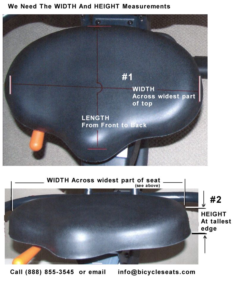exercise cycle seat
